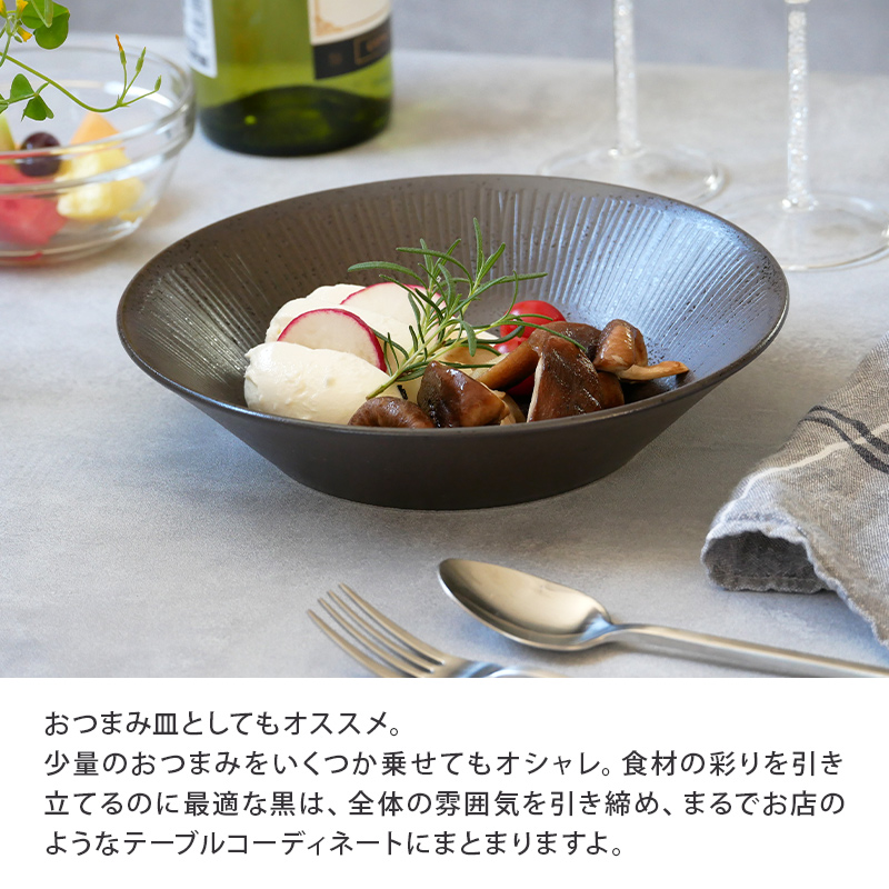 パスタ・カレー皿 21cm Rim wireプレート お皿 皿 洋食器