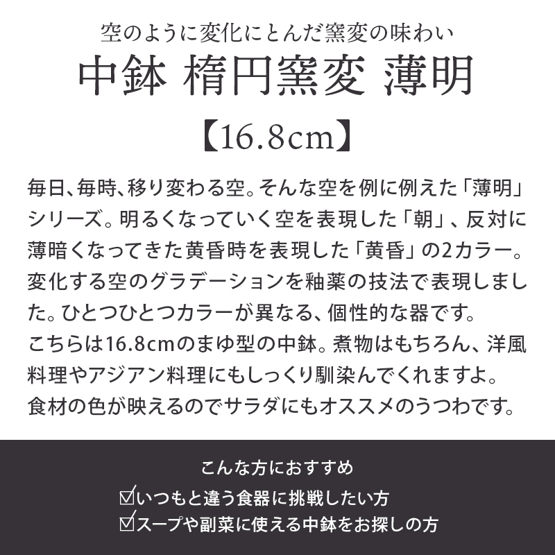 中鉢 楕円窯変 16.8cm 薄明ボウル