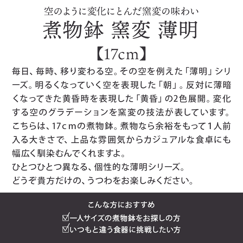 煮物鉢 窯変 17cm 薄明