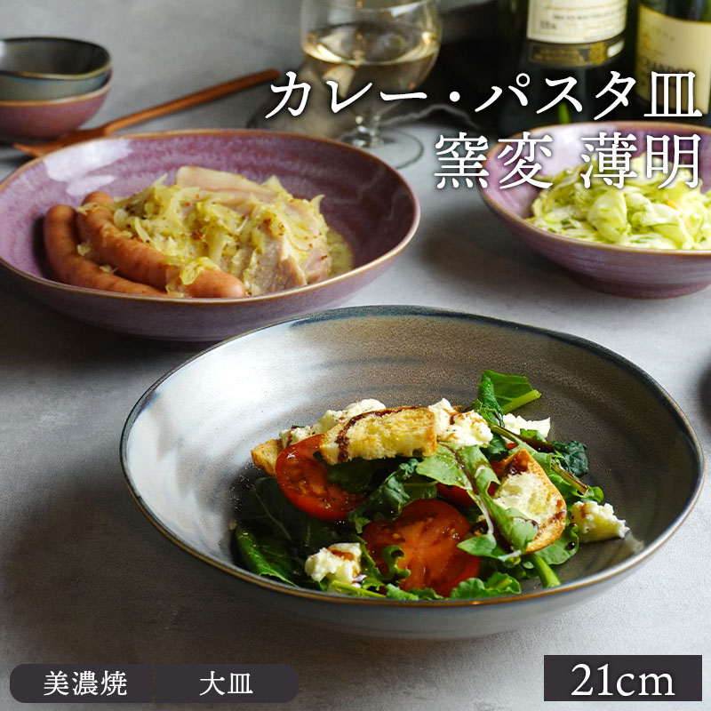 カレー・パスタ皿 窯変 21cm 薄明プレート お皿 皿 和食器