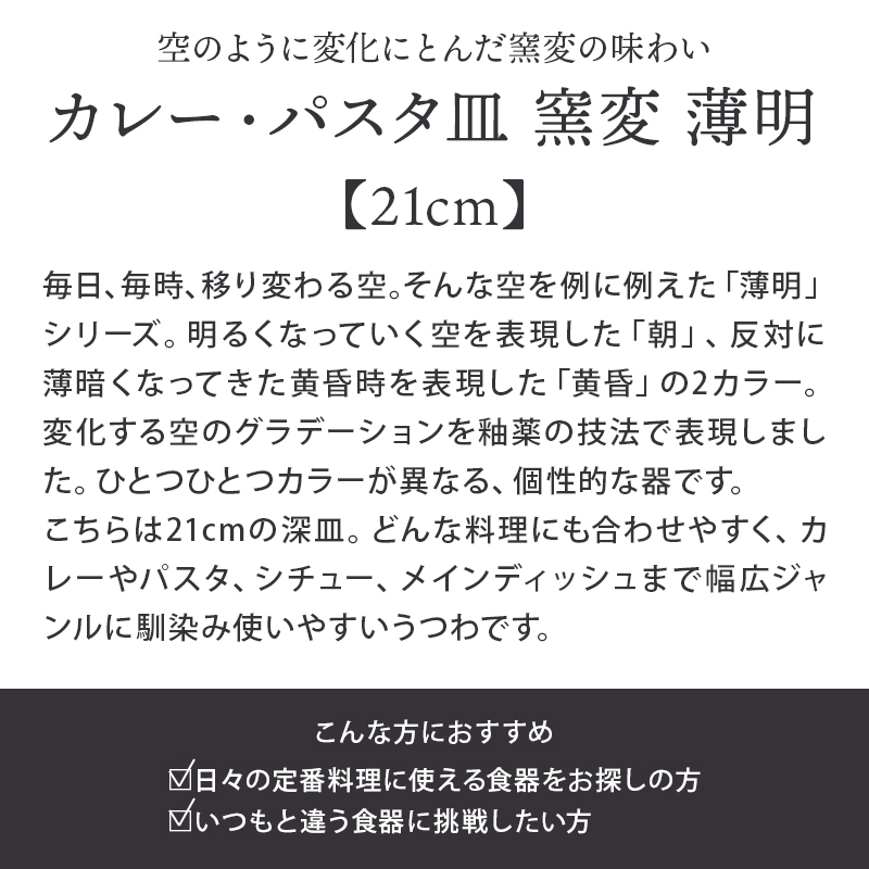カレー・パスタ皿 窯変 21cm 薄明