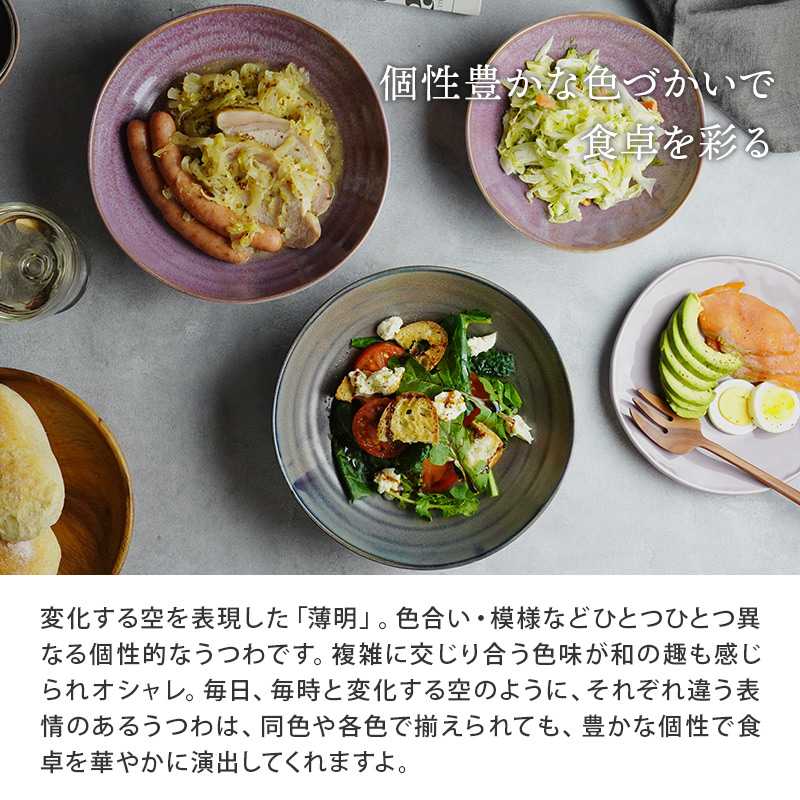 カレー・パスタ皿 窯変 21cm 薄明