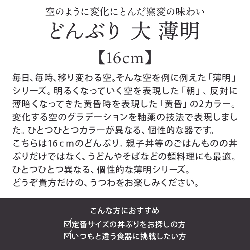 どんぶり 大 窯変 16cm 薄明