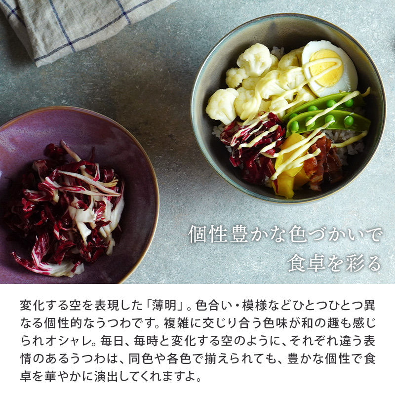 どんぶり 大 窯変 16cm 薄明