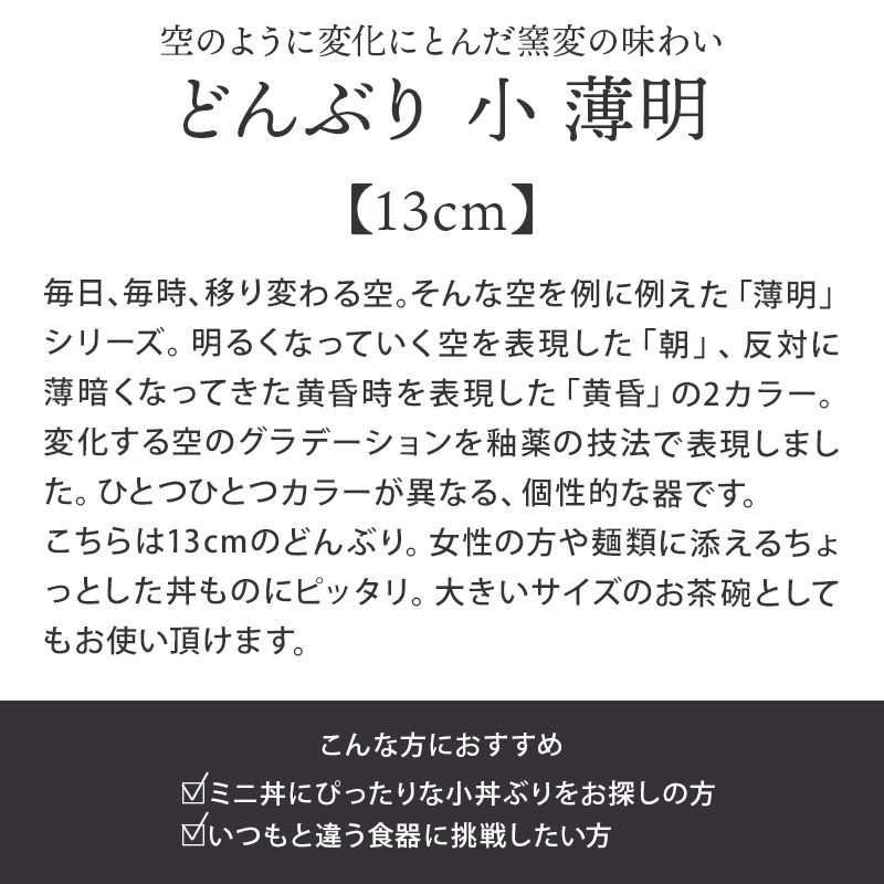 どんぶり 小 窯変 13cm 薄明