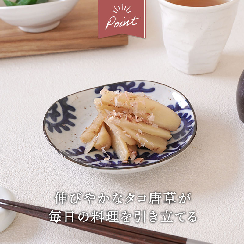 三角皿 12cm 太タコ唐草