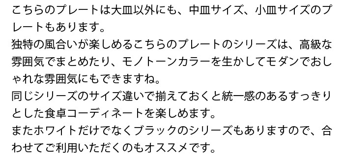 スレート調プレート　中皿