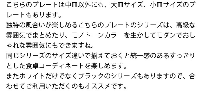 スレート調プレート　中皿