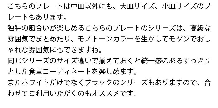 スレート調プレート　中皿