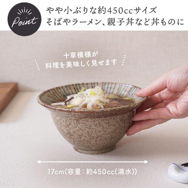 リム型どんぶり 17cm 松葉