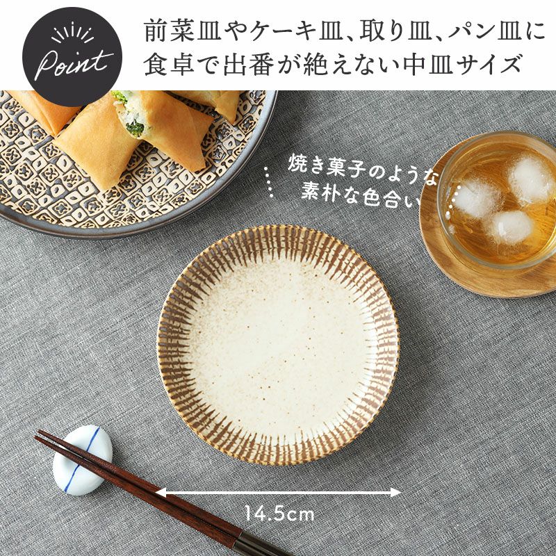 チョコストライプ 皿 プレート 和食器