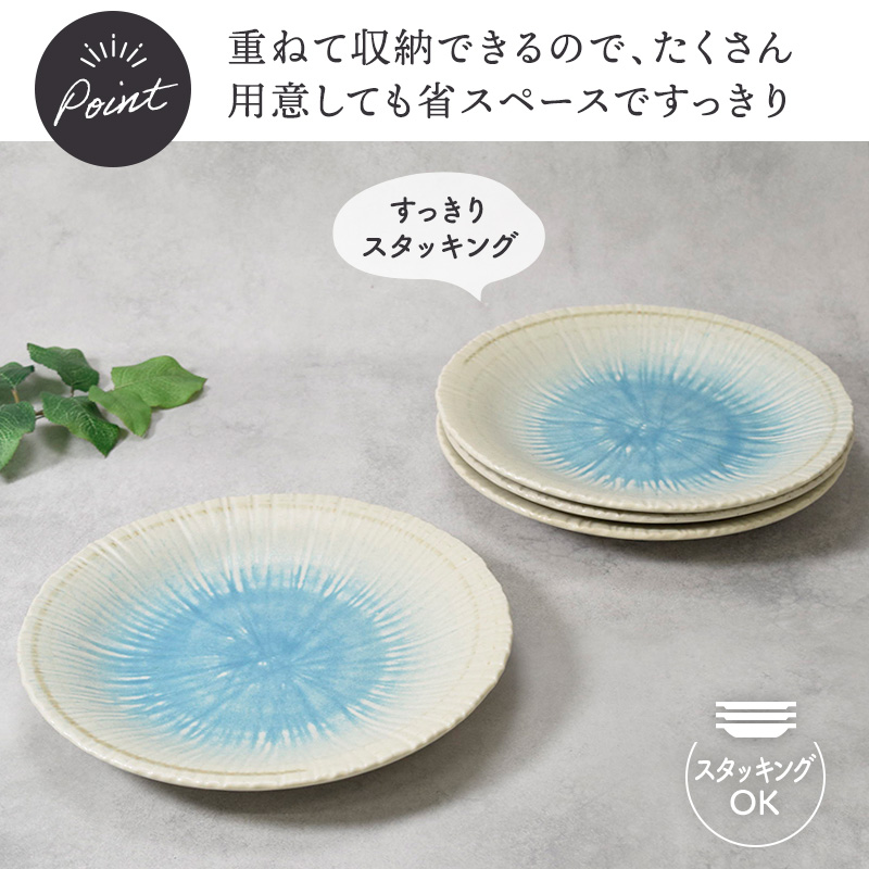 大皿 25cm 雫 和食器 使い方のアイデア