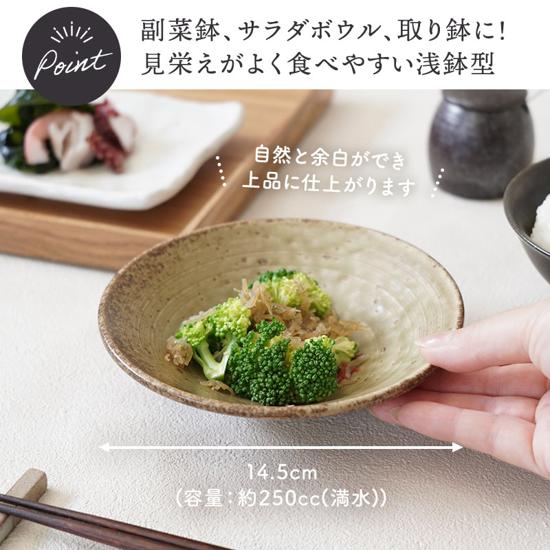 しのぎ浅鉢 14.5cm 小 旬土