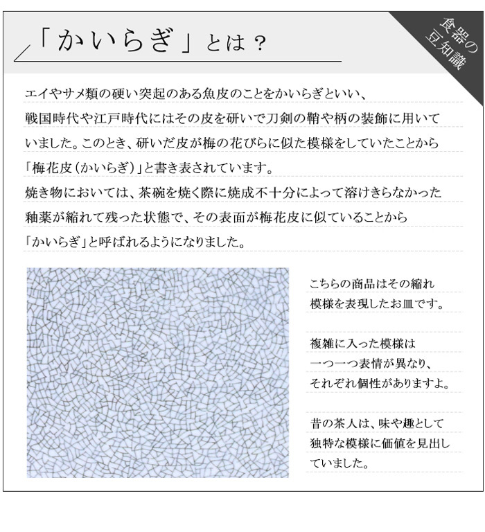 ラーメンどんぶり 21.3cm かいらぎ