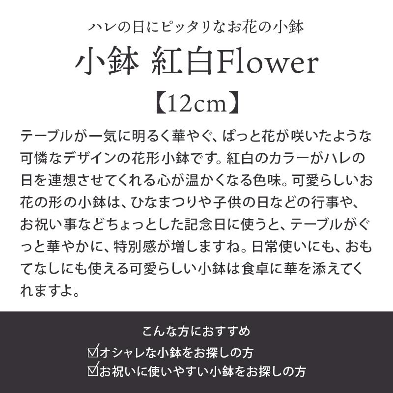 取り鉢、おかず鉢、デザートボウルにぴったり