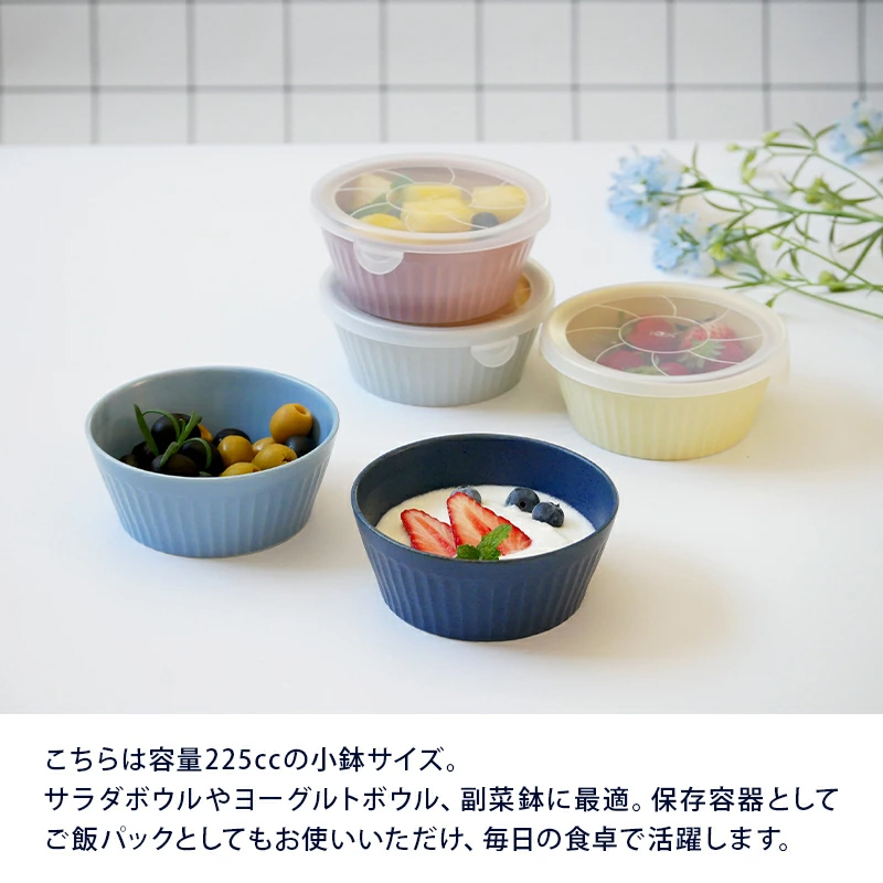 レンジパックボウル S 225cc 軽量食器保存容器 おしゃれ 洋食器 ボウル