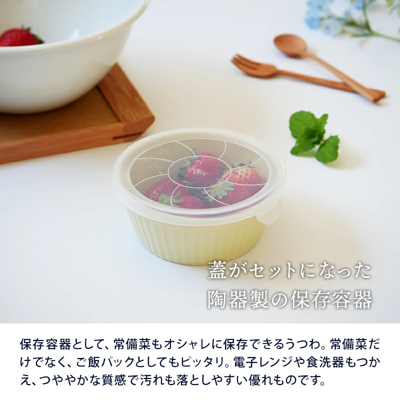 レンジパックボウル S 225cc 軽量食器保存容器 おしゃれ 洋食器 ボウル