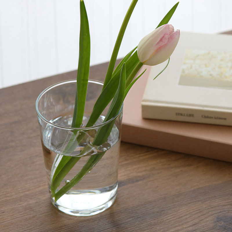 タンブラー 500cc SIDRA レンジ・食洗機OK 