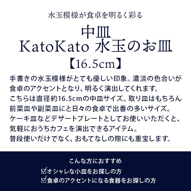 16.5cmの中皿サイズ