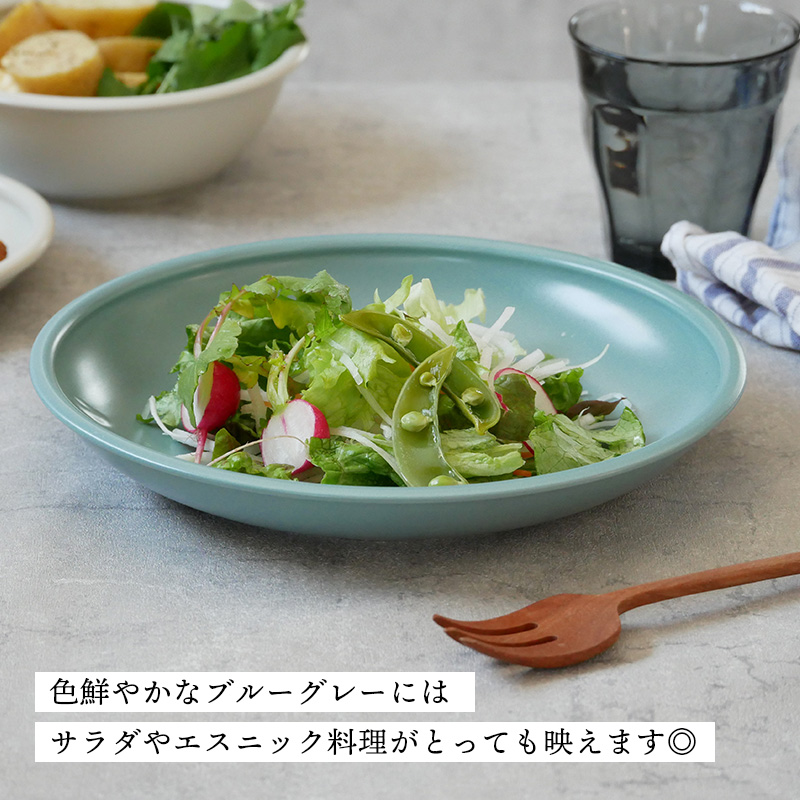 カレー・パスタ皿 23cm アドレ 軽量食器