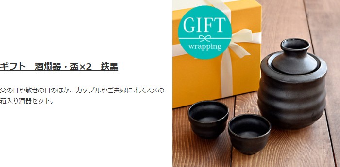 ギフト 酒燗器・盃 鉄黒