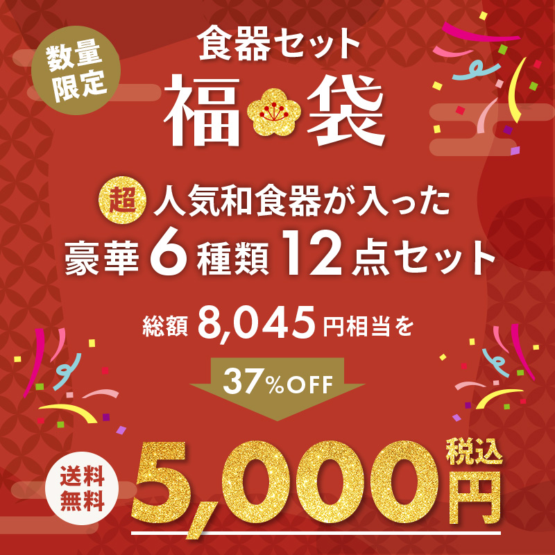 2025年福袋 人気食器が入った和食器12点セット 食器セット