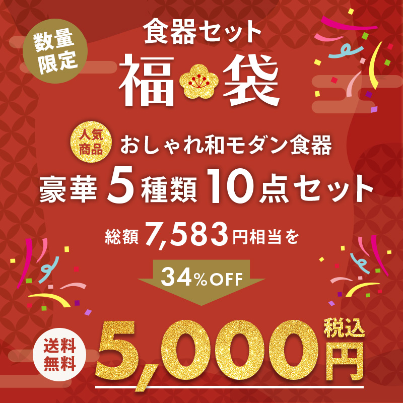 2025年福袋 おしゃれ和モダン食器10点セット