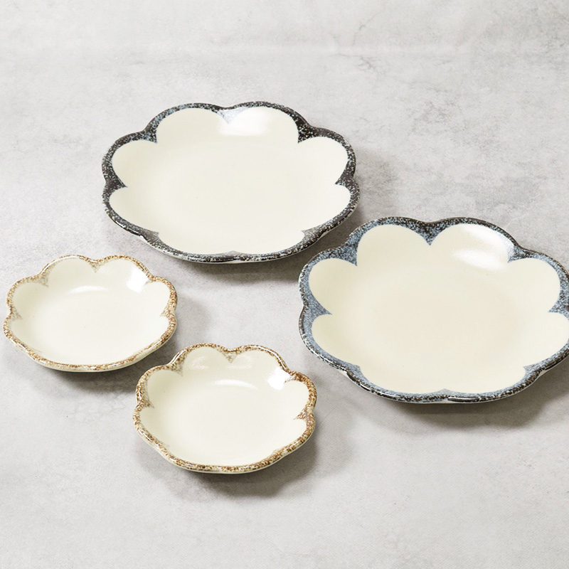 中皿 ＆ 小皿 8点セット