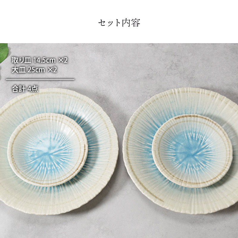 大皿 ＆ 取り皿 2人用 プレート 4枚セット 2サイズ×各2枚 雫 和食器 セット内容