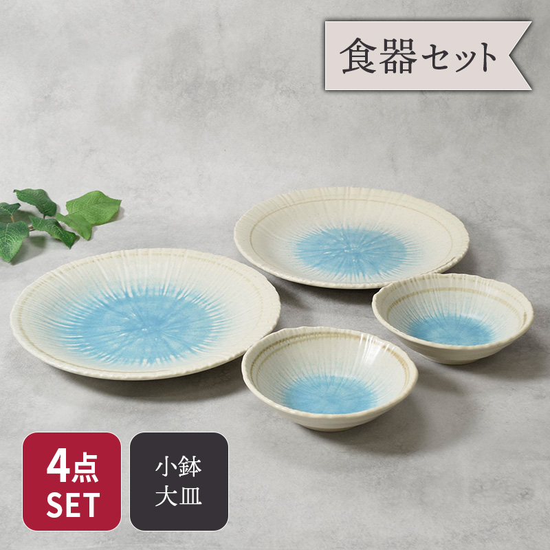 大皿 ＆取り鉢 2人用 4枚セット 2サイズ×各2枚 雫 和食器 割引セット