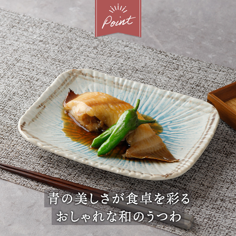 盛皿 ＆ 焼物皿 2人用 4枚セット 2サイズ×各2枚 雫 和食器 デザイン詳細
