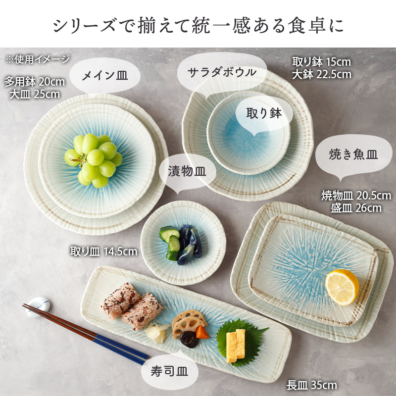 盛皿 ＆ 取り皿 4人用 合計5点セット 雫 和食器 カラーバリエーション