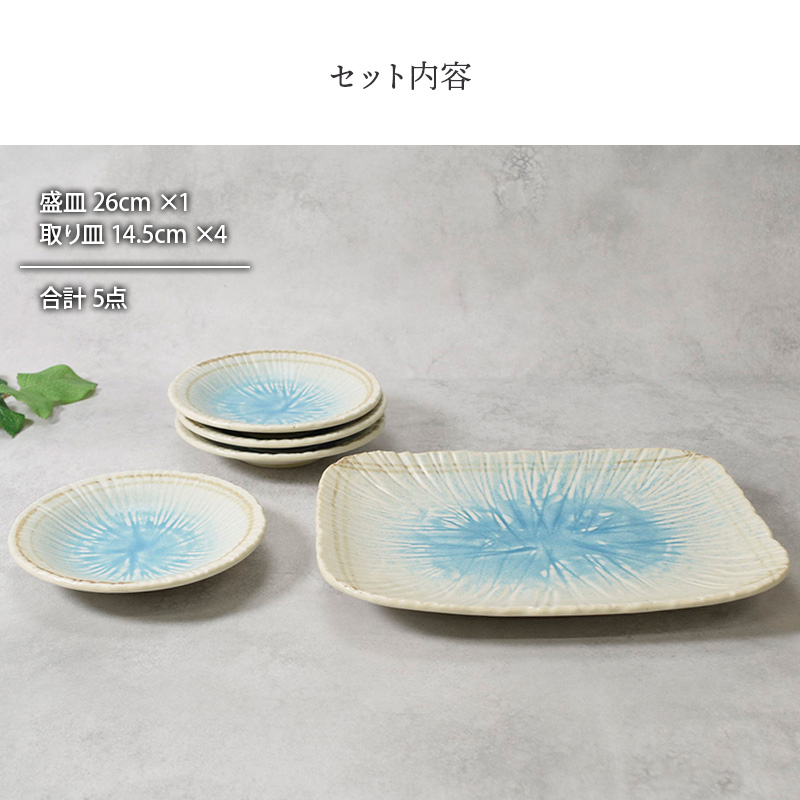 盛皿 ＆ 取り皿 4人用 合計5点セット 雫 和食器 セット内容