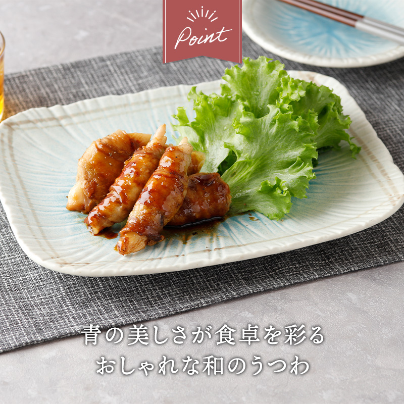 盛皿 ＆ 取り皿 4人用 合計5点セット 雫 和食器 デザイン詳細