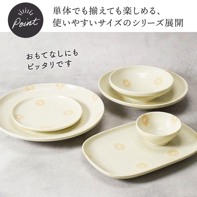 大皿 24.5cm 4点セット ピュアハート デザインと使い方