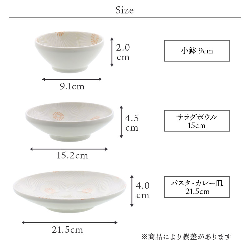 変形皿 24cm 2点セット ピュアハート デザインと使い方