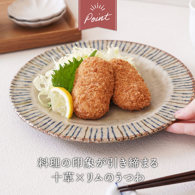 リム型プレート 大 24.5cm 4点セット 松葉