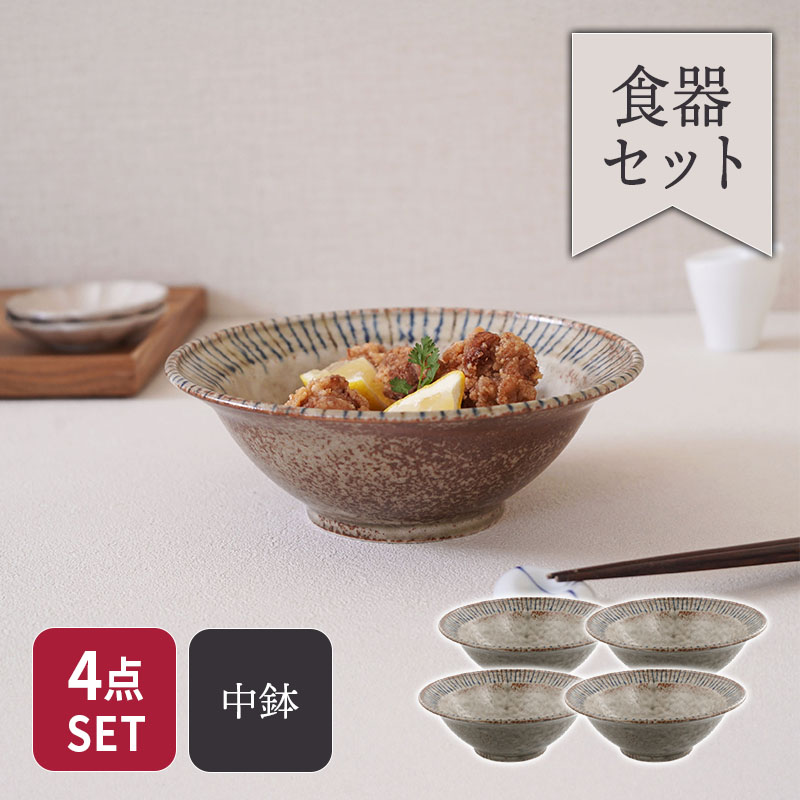 リム型ボウル 大 20.5cm 4点セット 松葉