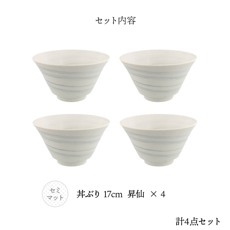 丼ぶり 17cm 4人用 4点セット 昇仙 セット内容