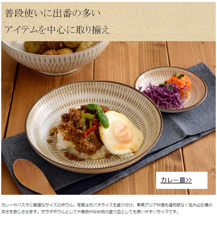 和食器 美濃民芸 カレー皿