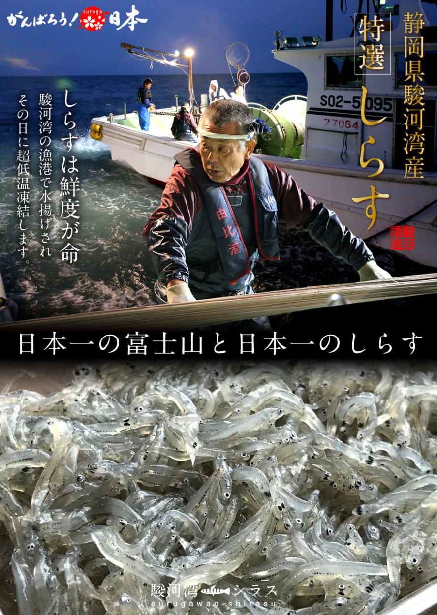 しらす 駿河湾産 釜揚げシラス 130g 4p いわし稚魚 静岡県由比港 産地直送 ご飯のお供 お取り寄せ 人気 通販 ギフト 21 Sirasub130g4 食だより Japanfood 通販 Yahoo ショッピング