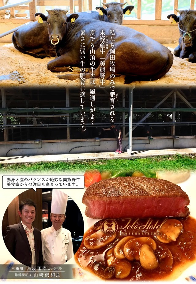 和牛 牛肉 幻の黒毛和牛 美熊野牛 特選モモ [1kg] すき焼き用