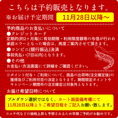 新えび先行予約】車海老 活き えび 特大【2L】1kg(24-28尾) 活車えび