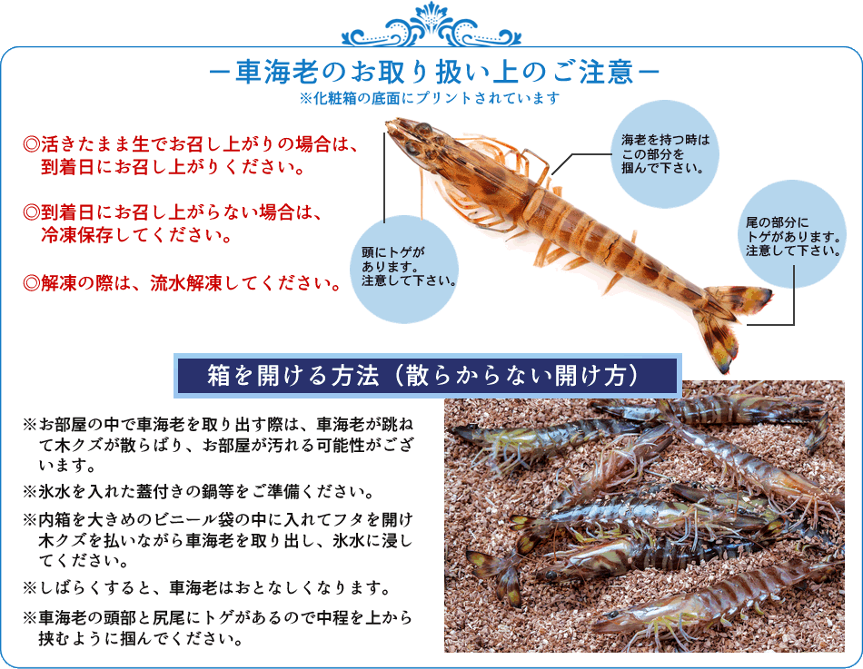 早割クーポン エビ 特大 車海老 活 天草 3l 車えび 尾入 刺身 しゃぶしゃぶ 熊本県産 生き クルマエビ ギフト 母の日 ギフト 限定製作 Tv Creativetalentnetwork Com