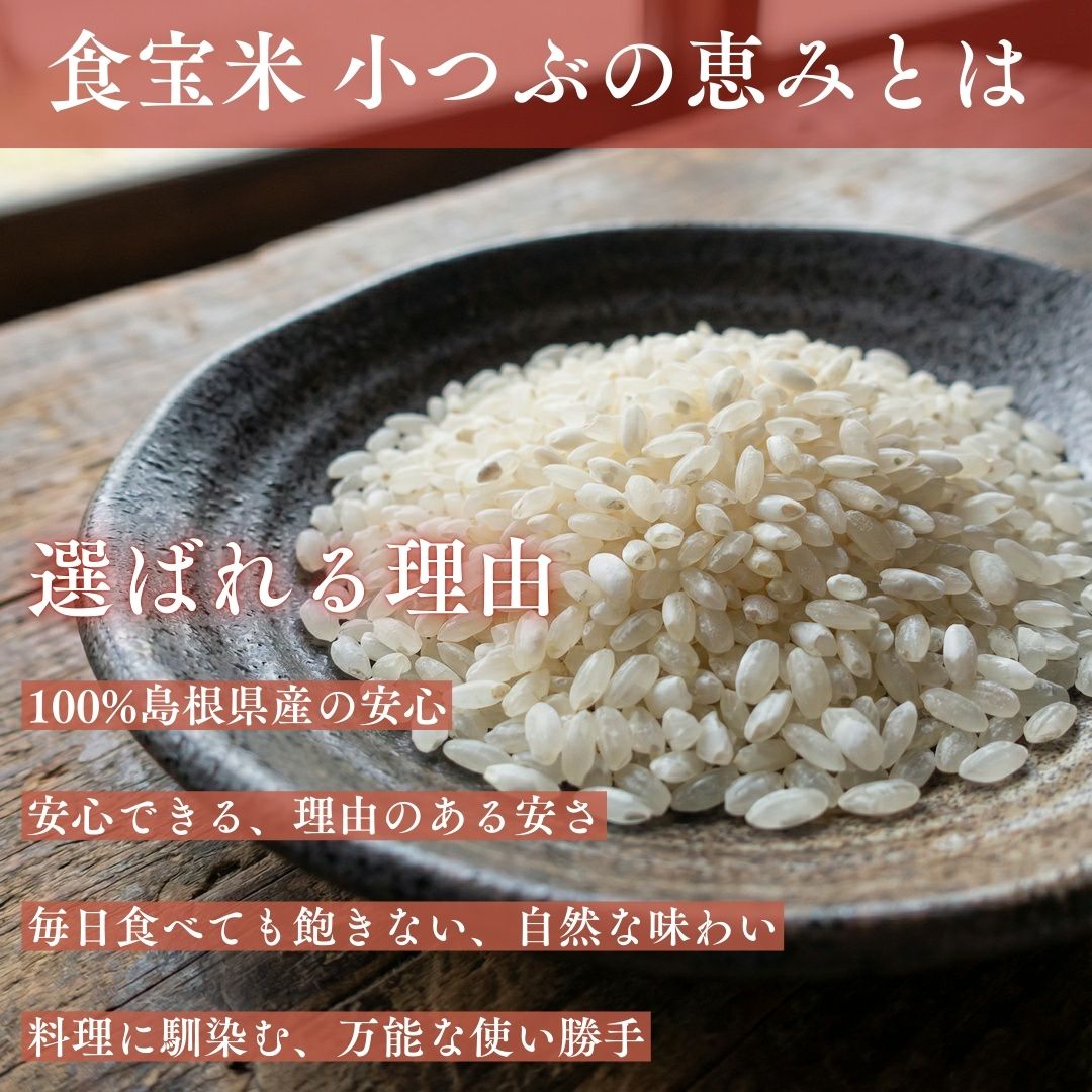 米5kg 新米 令和7年 国産 島根県 食宝米 小つぶの恵み 食べやすい 白米