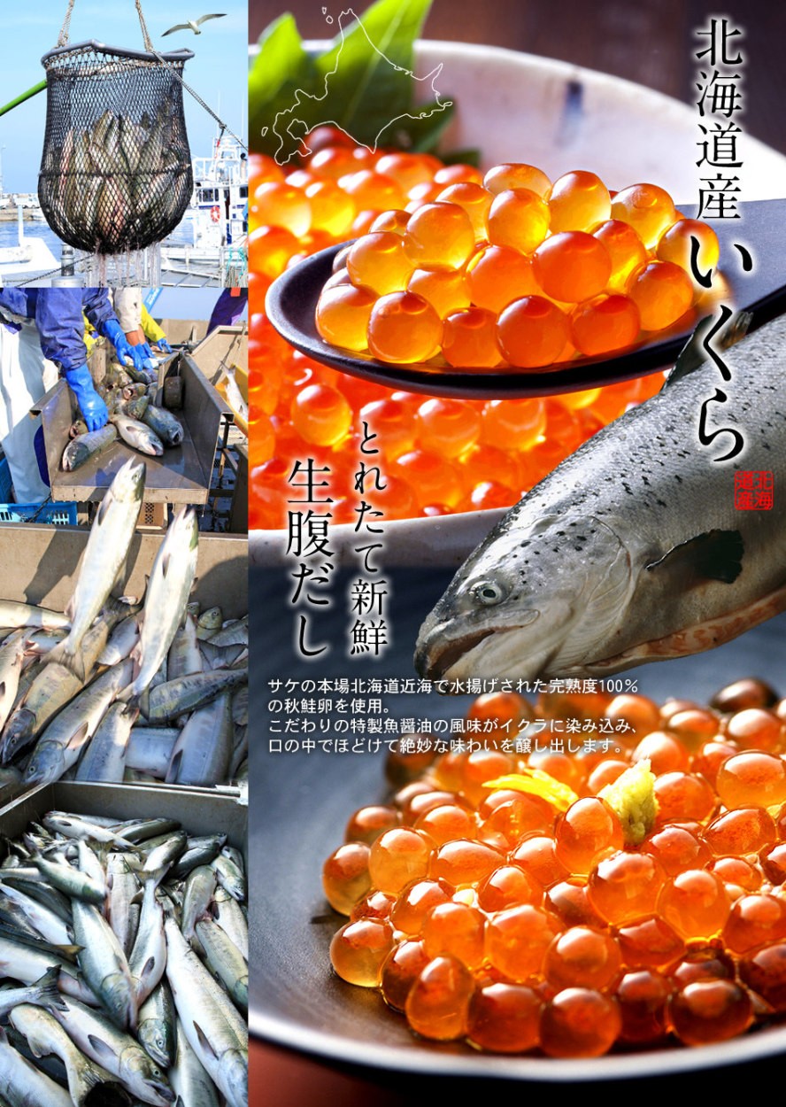 食紀行 Japanfood 魚卵 イクラ 数の子 他 オホーツク直送 網走水産 北海道特産品 Yahoo ショッピング