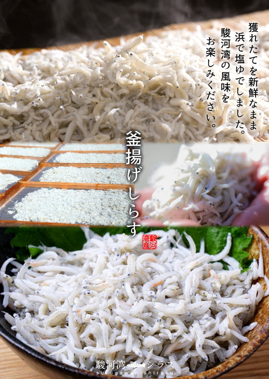 しらす 駿河湾産 釜揚げしらす缶詰め[40g×6缶] いわし稚魚 静岡県由比港 産地直送 送料無料［ギフト］ :21-sirasub-kan6:食紀行  JapanFood - 通販 - Yahoo!ショッピング