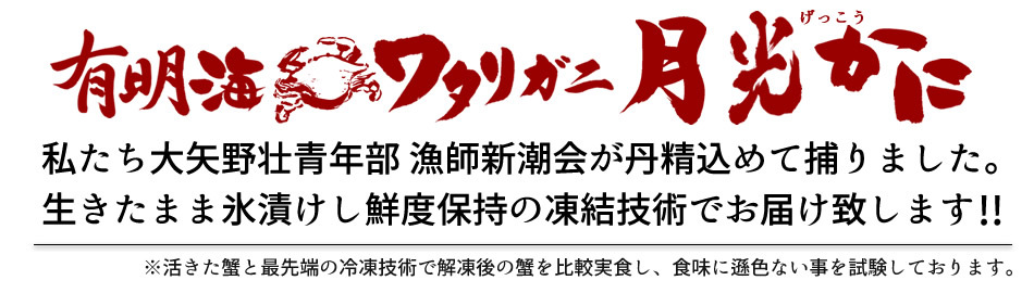 ワタリガニ直売 活〆 有明海 生 渡り蟹 1kg(3尾入)わたりがに 熊本県上