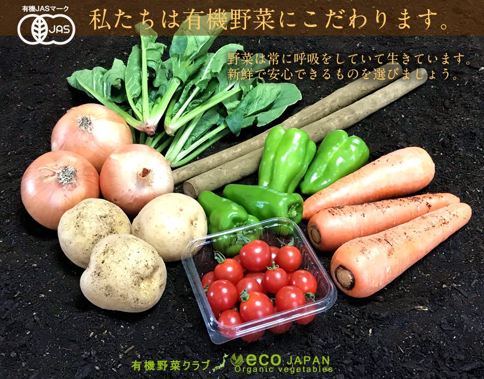 日本の有機野菜セット 旬のおまかせ7種類 全国ご当地生産者のこだわり有機栽培 ベジタブル スムージー 野菜材料 通販 人気［ギフト］  :24-yasai-7:食紀行 JapanFood - 通販 - Yahoo!ショッピング