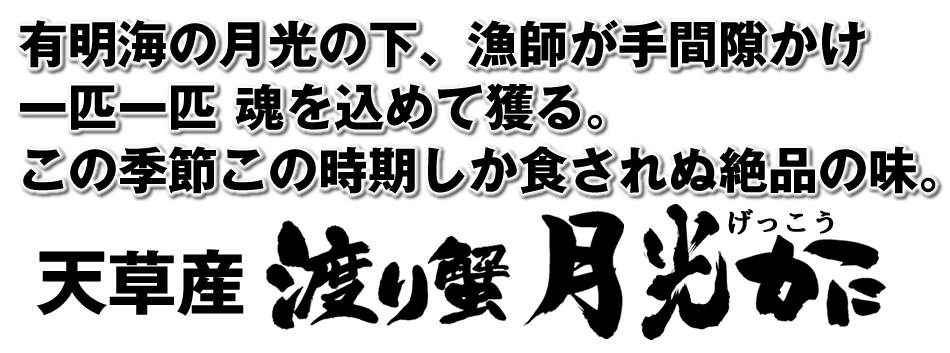 ワタリガニ直売 活〆 有明海 生 渡り蟹 1kg(3尾入)わたりがに 熊本県上